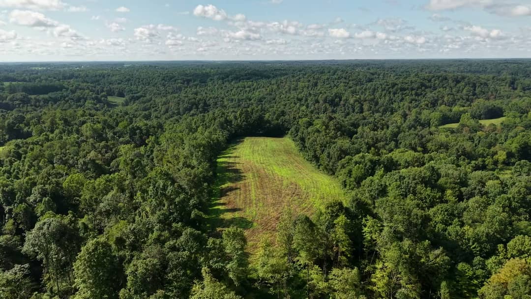 Drone flyover of dense forest and an open meadow in rolling southeast Ohio hills, filmed by Horizon Heights Productions.
