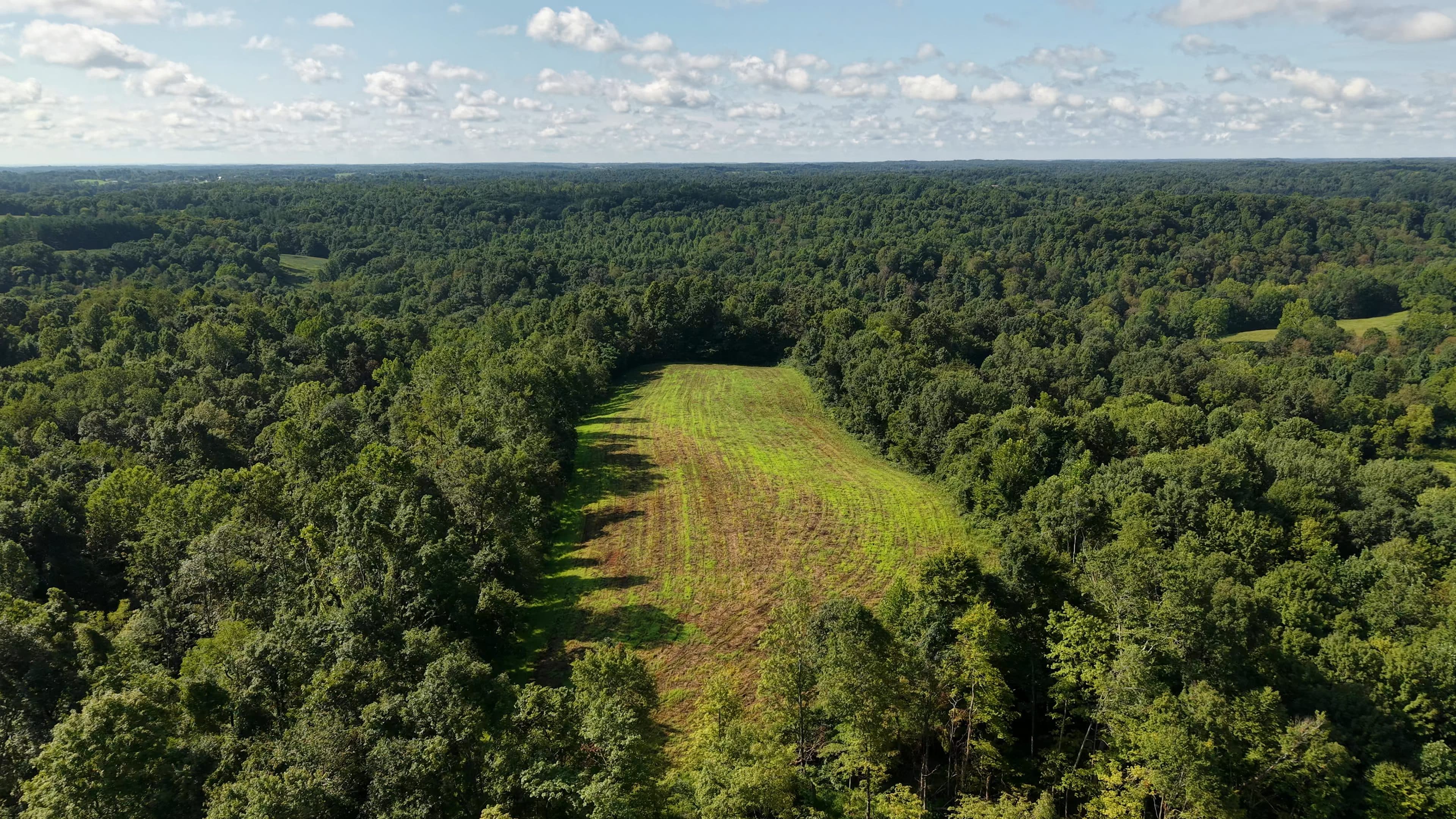 Late afternoon sun over a forest clearing in the Ohio hills, drone photo by Horizon Heights Productions.