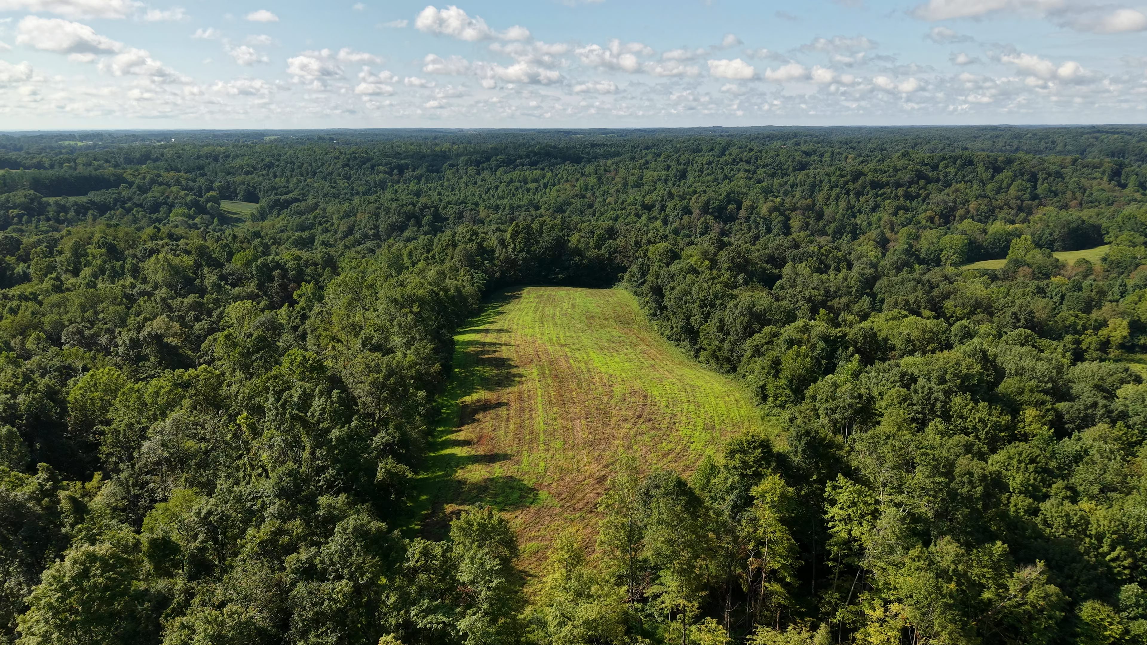 Late afternoon sun over a forest clearing in the Ohio hills, drone photo by Horizon Heights Productions.