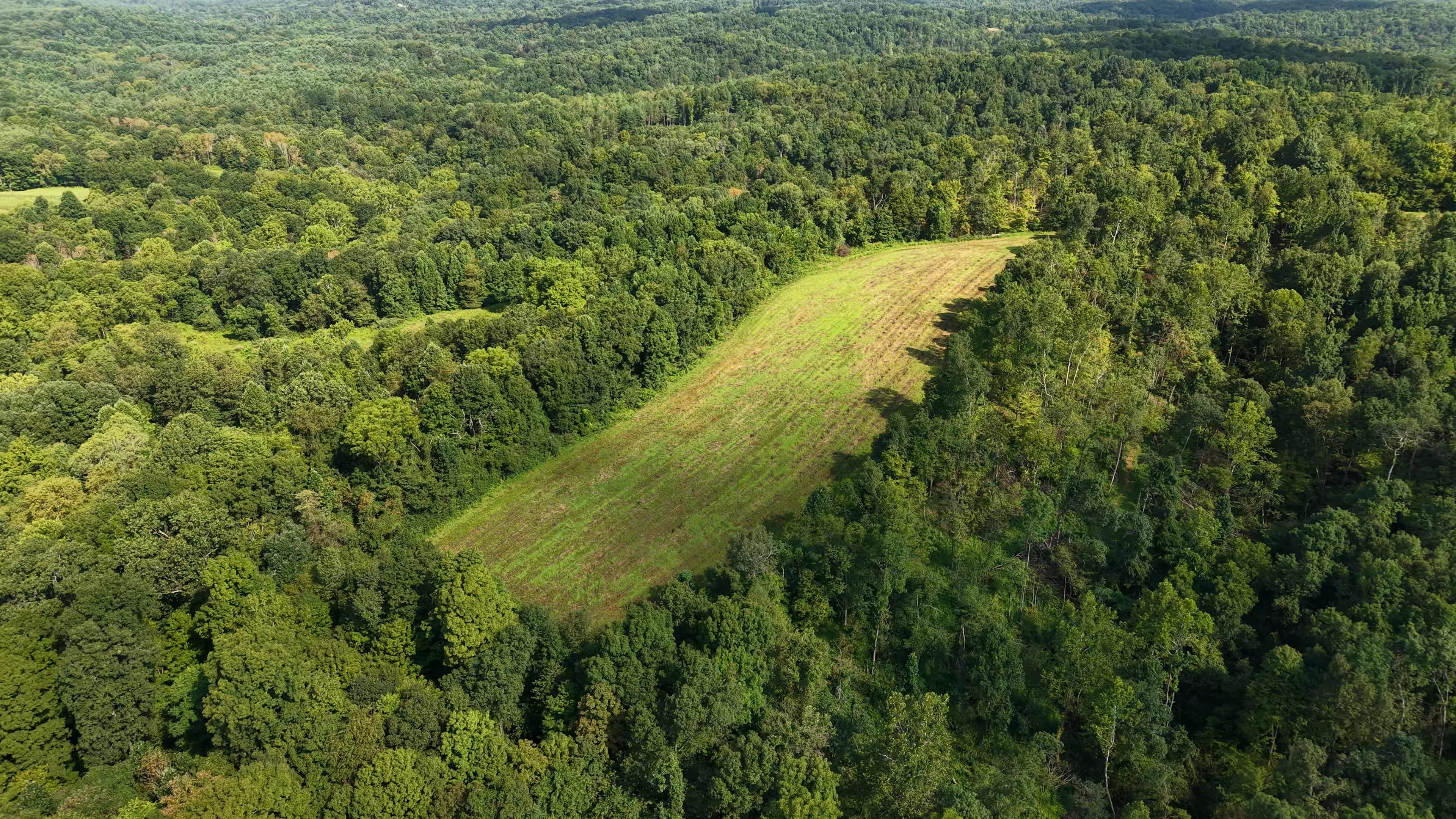 Aerial view of rolling hardwood forest and a meadow clearing in southeast Ohio, by Horizon Heights Productions.